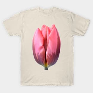 Tulipa &#39;Pretty Princess&#39; Triumph Group Tulip T-Shirt